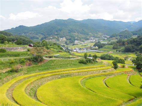 平地|平地とは